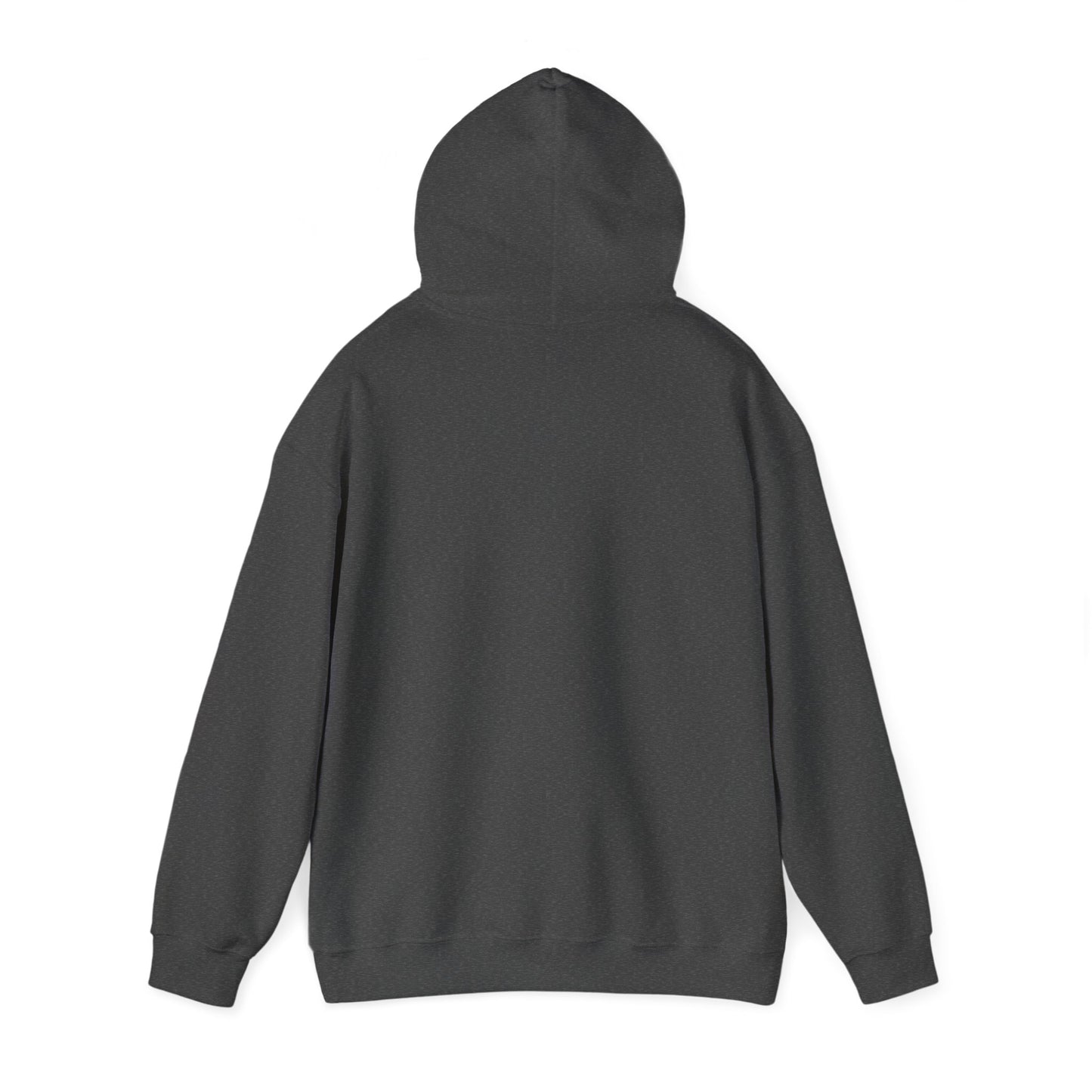 Trump Era | Hooded Sweatshirt
