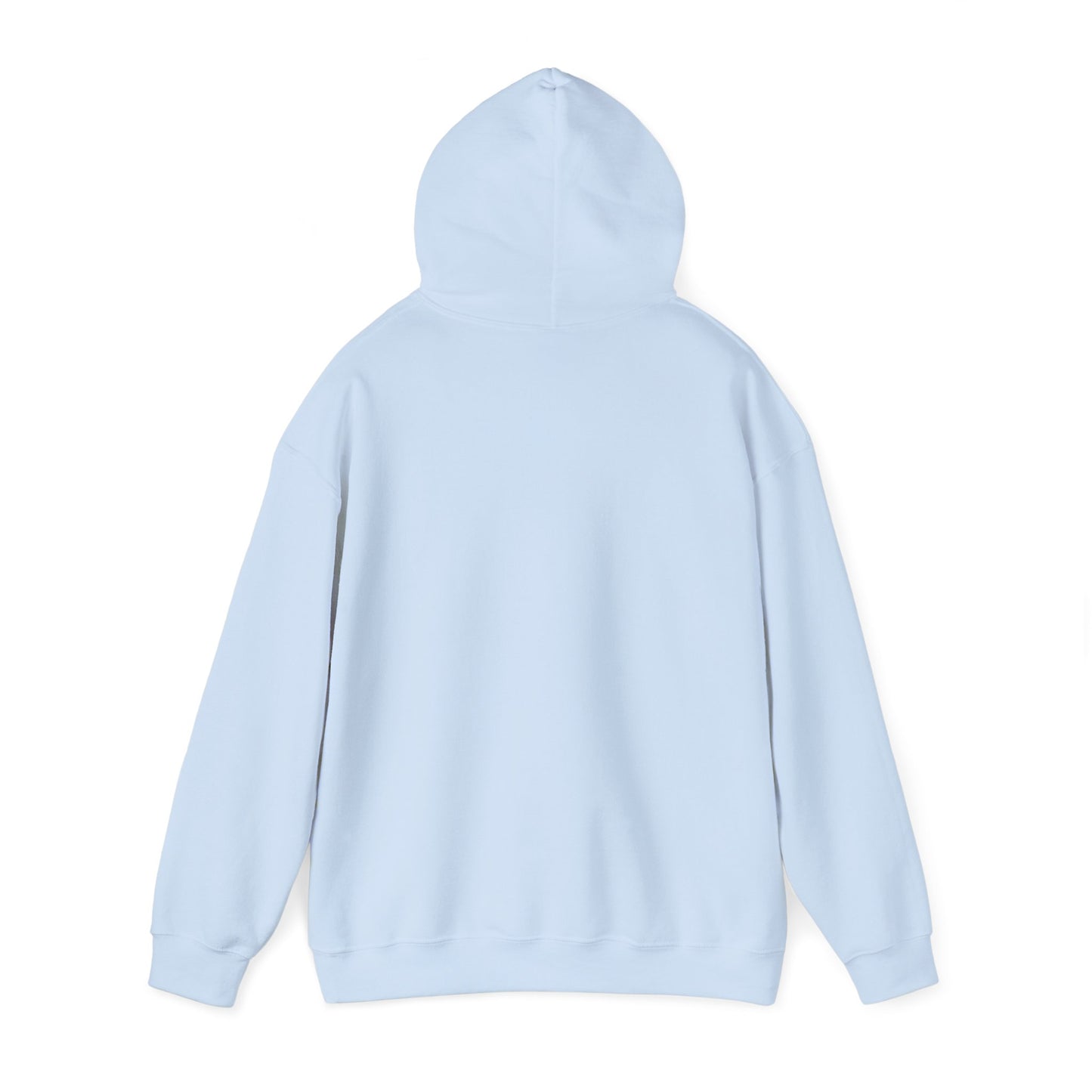 Trump Era | Hooded Sweatshirt