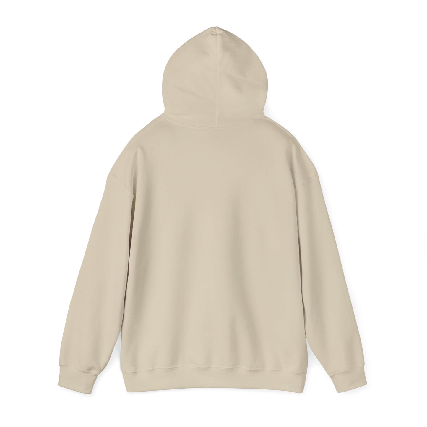 Trump Era | Hooded Sweatshirt