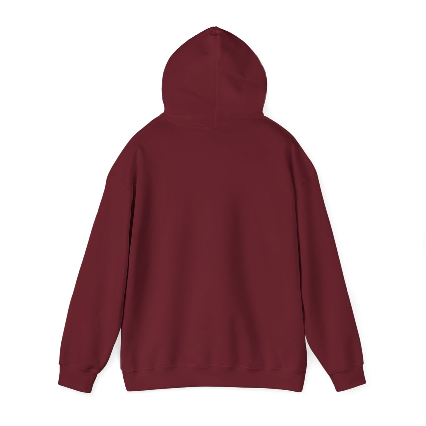 Trump Era | Hooded Sweatshirt