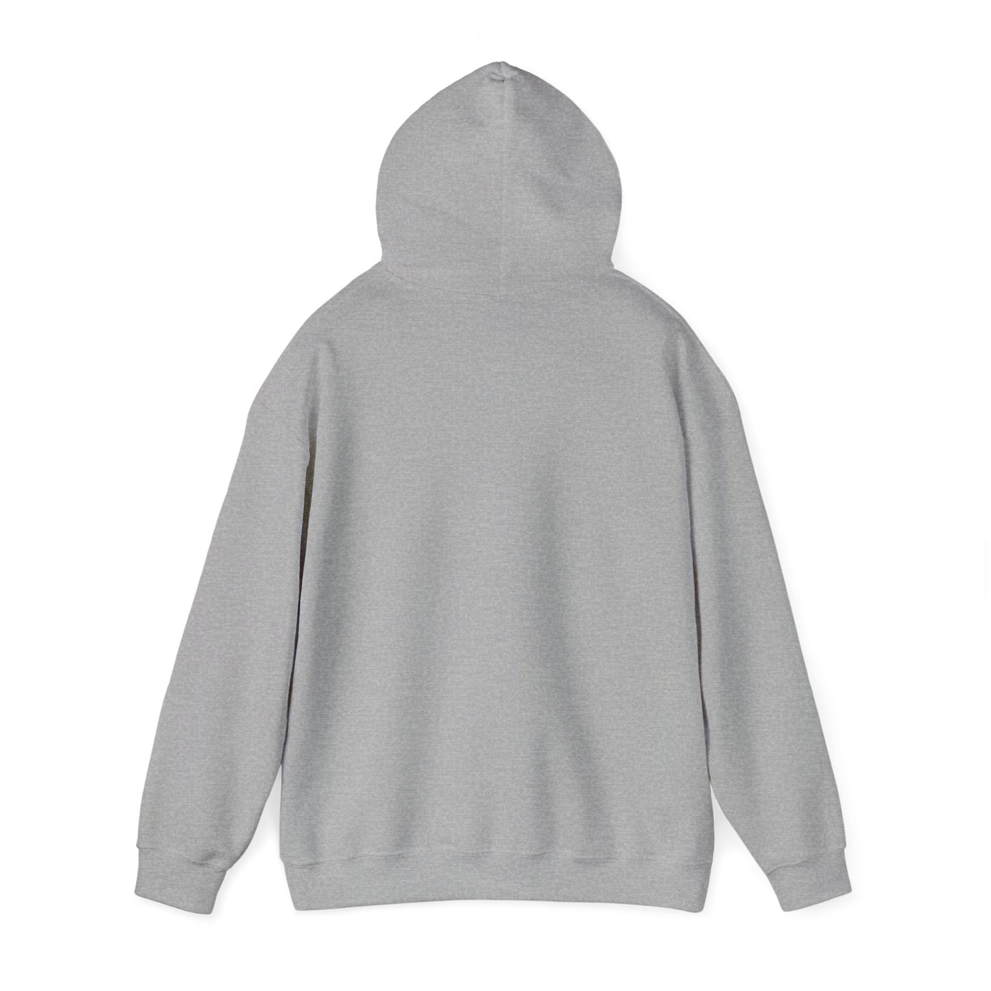 Trump Era | Hooded Sweatshirt