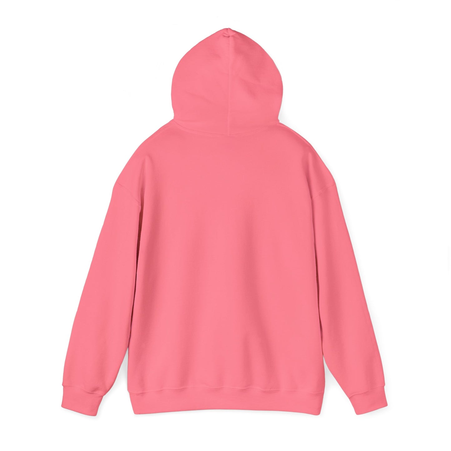 Gaslighter 2 Styles! | Hooded Sweatshirt