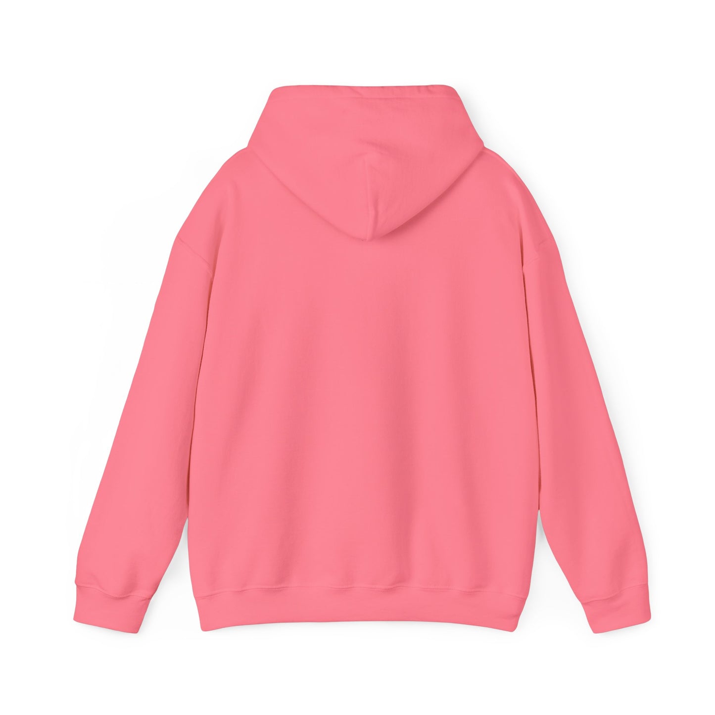 Gaslighter 2 Styles! | Hooded Sweatshirt