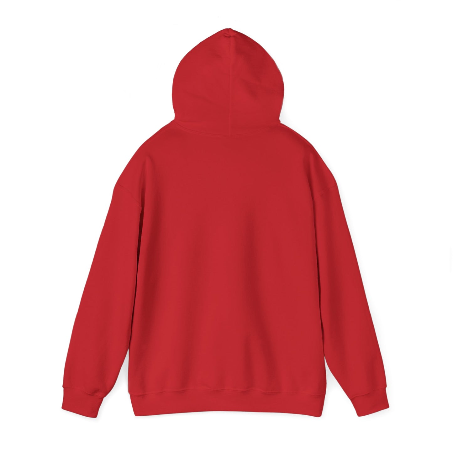 Trump Era | Hooded Sweatshirt