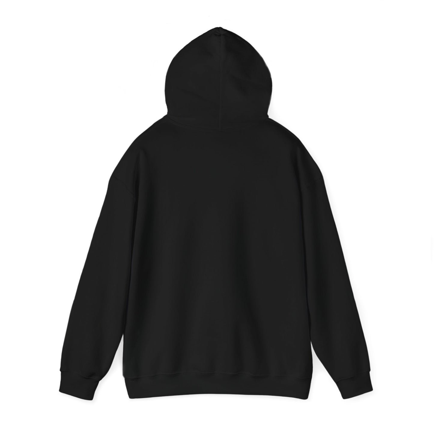 Gaslighter 2 Styles! | Hooded Sweatshirt