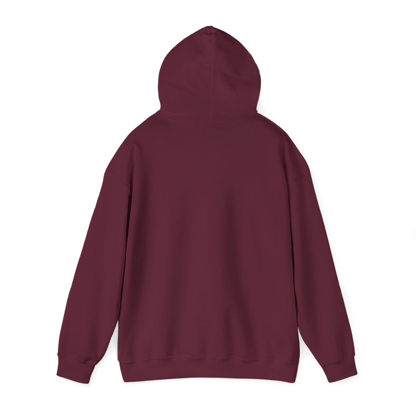 Gaslighter 2 Styles! | Hooded Sweatshirt